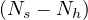 (Ns - Nh )